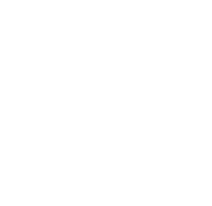 Pi Consult